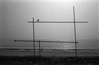 dailyPhoto3